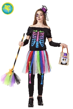 SCHELETRINA MULTICOLORE